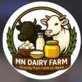 MN Dairy Farm